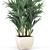 Tropical Palm Trio in White Pots 3D model small image 2