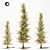 Pine Tree 110: Majestic 670cm Tall 3D model small image 1