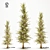 Pine Tree 110: 3D Tree Model 3D model small image 1