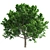 Optimized Bradford Pear Tree 3D model small image 2