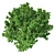 Optimized Bradford Pear Tree 3D model small image 4