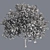 Optimized Bradford Pear Tree 3D model small image 5