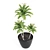 Botanical Bliss: 5-Plant Set 3D model small image 5