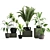 Botanical Bliss: 5-Plant Set 3D model small image 7