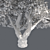 Bountiful Cherry Tree: Realistic, Optimized, High-Quality 3D model small image 5