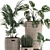 Tropical Plant Mix: Exotic, Decorative, Indoor 3D model small image 3