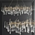 Serip Branching Collection: Organic Chandeliers 3D model small image 2