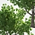 Scatter Duo: Landscape Trees 3D model small image 2