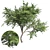  Thorny Hook Tree
(Gvozdichnoe derevo s zaborom) 3D model small image 6