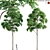 Chickrassy 02: High-Quality 3D Plant Model 3D model small image 1