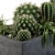 Desert Dream Cactus Set 3D model small image 3