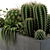 Desert Dream Cactus Set 3D model small image 4