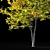 Autumn Bliss: Tilia Europaea & Linden Tree 3D model small image 4