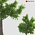 Corona Render Tree: 737.48 cm Height 3D model small image 2