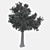 Corona Render Tree: 737.48 cm Height 3D model small image 3