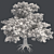 European Beech Tree: High-Quality 3D Model 3D model small image 5