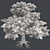 Title: EuropaBeech Corona Tree 3D model small image 5