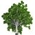  European Linden Tree: High-Quality and Realistic 3D model small image 4
