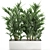 Tropical Palm Collection in White Pots 3D model small image 1