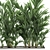 Tropical Palm Collection in White Pots 3D model small image 3