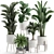 Tropical Plant Collection in White Pots 3D model small image 1