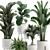 Tropical Plant Collection in White Pots 3D model small image 2