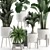 Tropical Plant Collection in White Pots 3D model small image 3