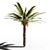 Tropical Paradise: 18x18m Palm Tree 3D model small image 1