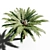 Tropical Paradise: 18x18m Palm Tree 3D model small image 3