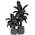 311 Plants Collection: Poly:438906, Verts:225323 3D model small image 3
