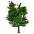 Optimized Green Ash Tree 3D model small image 2