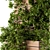 Lush Ivy Plants for Stylish Plant Boxes 3D model small image 2