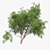 Optimized Honey Mesquite Tree  3D model small image 2