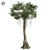 Optimized Kapok Tree 3D Model 3D model small image 1