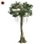 Optimized Kapok Tree 4K Textures 3D model small image 1