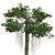 Optimized Kapok Tree 4K Textures 3D model small image 4