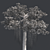 Optimized Kapok Tree 4K Textures 3D model small image 5