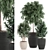 Exotic Plant Collection: Rhapis, Ficus, Nerium 3D model small image 1