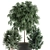 Exotic Plant Collection: Rhapis, Ficus, Nerium 3D model small image 3