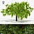 Vintage Apple Tree 5S: 2014 3D Model 3D model small image 1