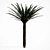 Tropical Palm Tree 5S 3D model small image 3