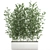 Exotic Bamboo Plant in White Vase 3D model small image 1