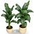 Green Oasis: Plant Collection 314 3D model small image 2