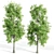 4 Sorrel Trees: Vibrant and Hardy Set! 3D model small image 5