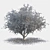 Sculpted Landscape Tree 3D model small image 4