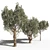 Mediterranean Trio: Three Majestic Olive Trees 3D model small image 2