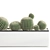 Exotic Cactus Collection in White Pots 3D model small image 4