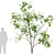 Lush Twin Saplings - 3D Tree Models 3D model small image 2