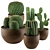 Desert Vibes: Cactus Collection 02 3D model small image 1