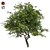 Fruitful Lemon Tree 3D model small image 1